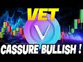 Vechain vet  grosse accumulation valide  les prochaines targets  analyse  trading crypto