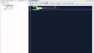 Celebrity JavaScript Tutorial 2 - Outputing and Alerting text in the browser page Profile