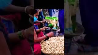 Exploring The Taste Of Jungal Putto Rugra A Desi Culinary Delight