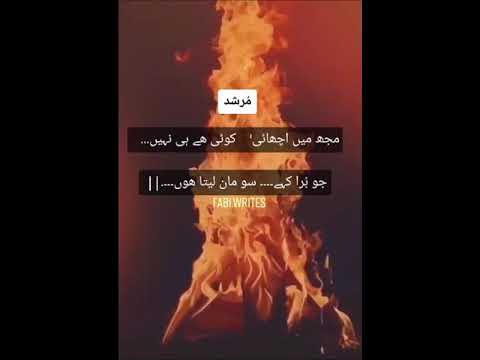 Murshid poetry Murhsid Tiktok poetry Murshid poetry 