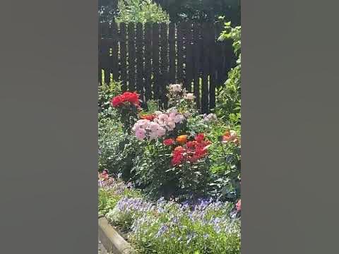 Райский сад - YouTube