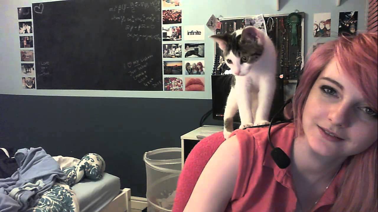 Play: I Wanna Play Too: cute cat video