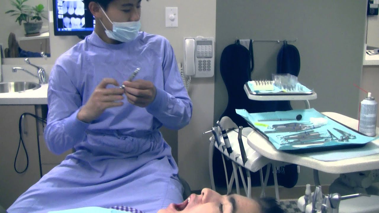Bruce Goes to the Dentist YouTube