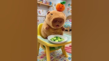 Capybara eating cucumber ice cream! #capybara #cute #summer #funny