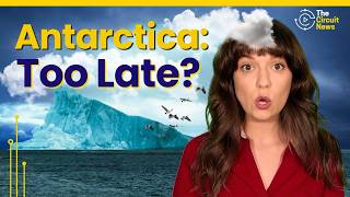 The Technology Trying to Stop Antarctica's Collapse! #antarctica
