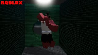 5 Idiots Experience A Fever Dream | Roblox Fever Asylum