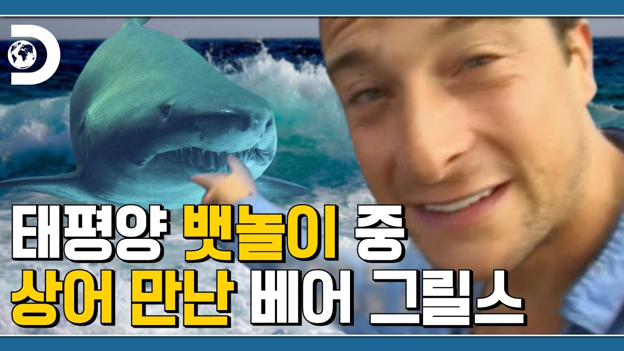 이봐 상어 (집에) 갈 거야 안 갈 거야! ? 태평양 베씨 표류기 [Man Vs Wild]