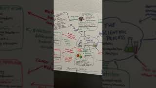Bio 3 concepts map