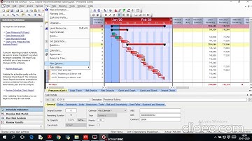 Construction Project Management (Risk analysis) - Project assignment for Skyfi Labs Online Course