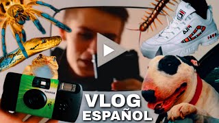 My First VLOG in SPANISH! *a day in my life* by Tomas Pasie 16,042 views 4 years ago 10 minutes, 18 seconds