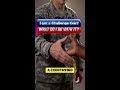 Why Do People Carry Challenge Coins? The Real Reason Isn't What You Think 🪙