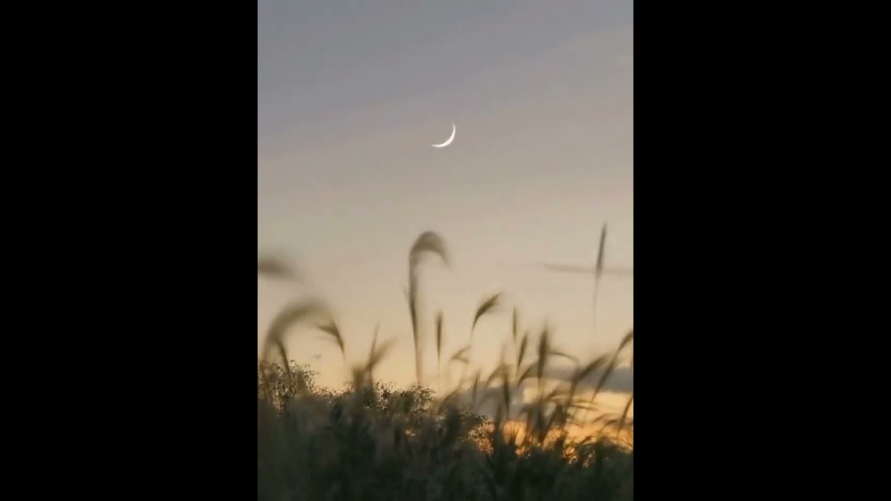 a dawn with accelerated image