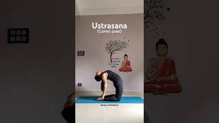 Ustrasana🐪 #yoga #camelpose #yogapractice #yogasana #shortsfeed #shorts #youtube #youtubeshorts