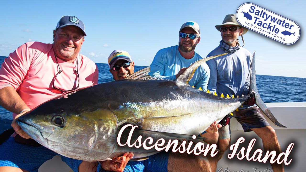 Topwater Yellowfin Tuna in Ascension Island 