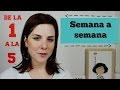 PRIMEROS SINTOMAS de EMBARAZO -  PRIMER MES  | SEMANAS (1-5)