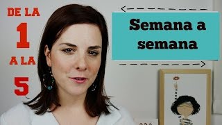 PRIMEROS SINTOMAS de EMBARAZO   PRIMER MES  | SEMANAS (15)