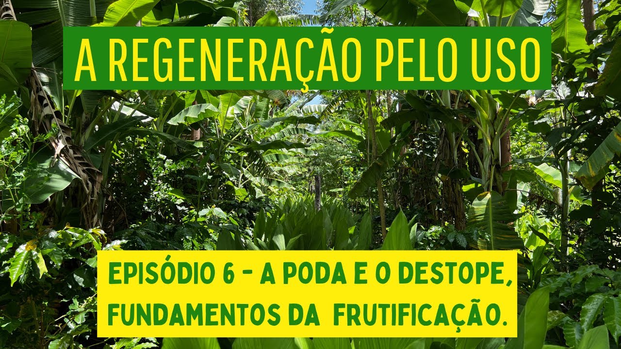 A REGENERAÇÃO PELO USO - EPISÓDIO 6 - A poda e o destope, fundamentos da frutificação.
