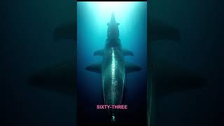 60 Days Underwater: Military Record Nobody Can Break?