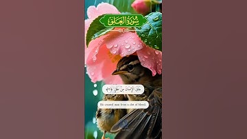 سورة العلق #الله #القرآن #فيروسي #فيديو فيروسي #فيديو فيروسي على يوتيوب #فيديو رائج #سورة العلق