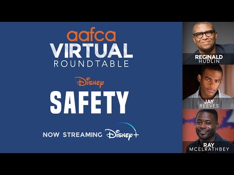 AAFCA RoundTable Disney   Safety