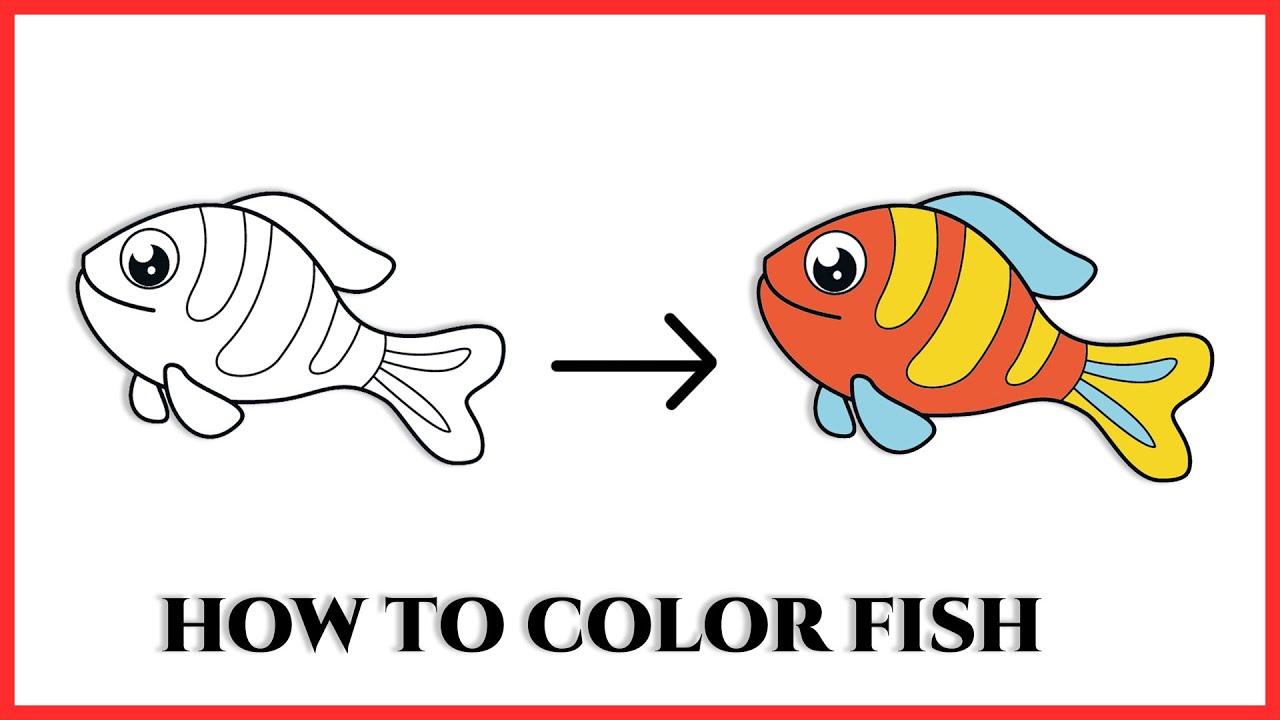 Fish Drawing For Beginners || How to Draw Fish Step By Step || Easy ...