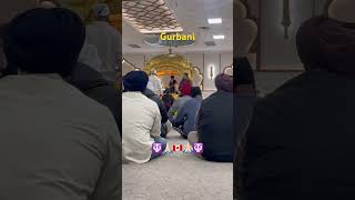 #gurbanikirtan #gurbanishabad #panjaab #sikhmusic #canada #live #shortsviral #gurbaanilive