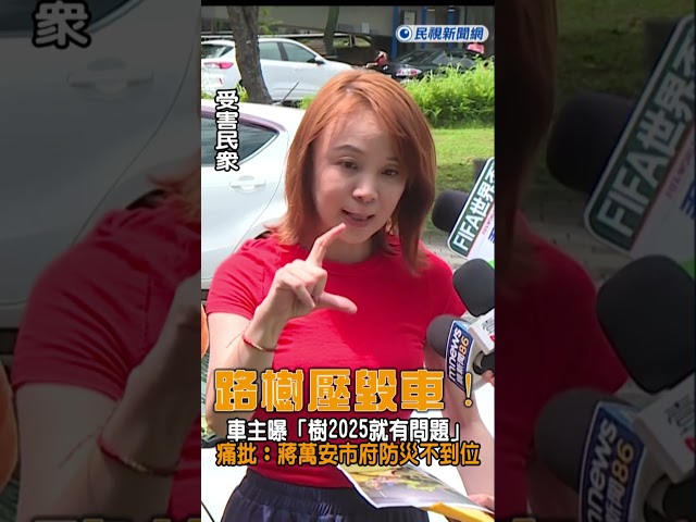 快新聞／路樹壓毀車！車主曝「樹2025就有問題」痛批：蔣萬安市府防災不到位｜民視快新聞｜