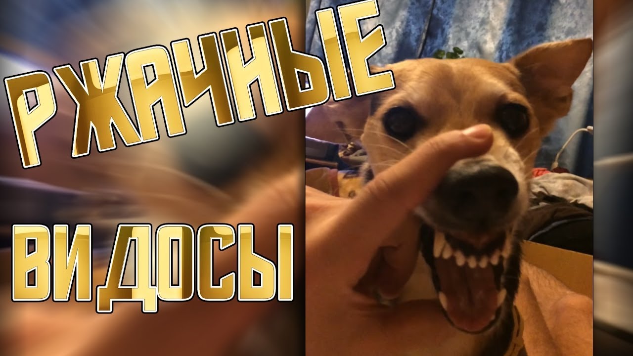 Сборник приколов из"instagram" 2019