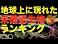 地球上に現れた未確認生物ランキングベスト１０まとめ