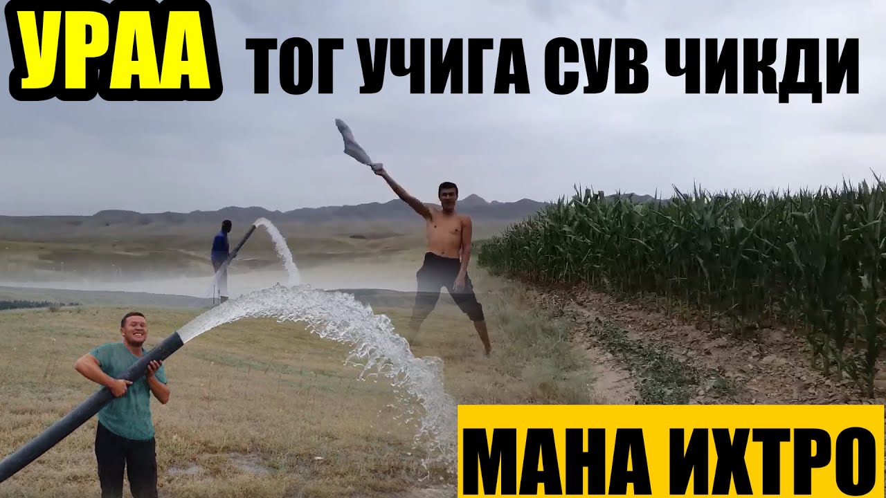 Мана натижа сув чикариш 26 августа 2025 г.