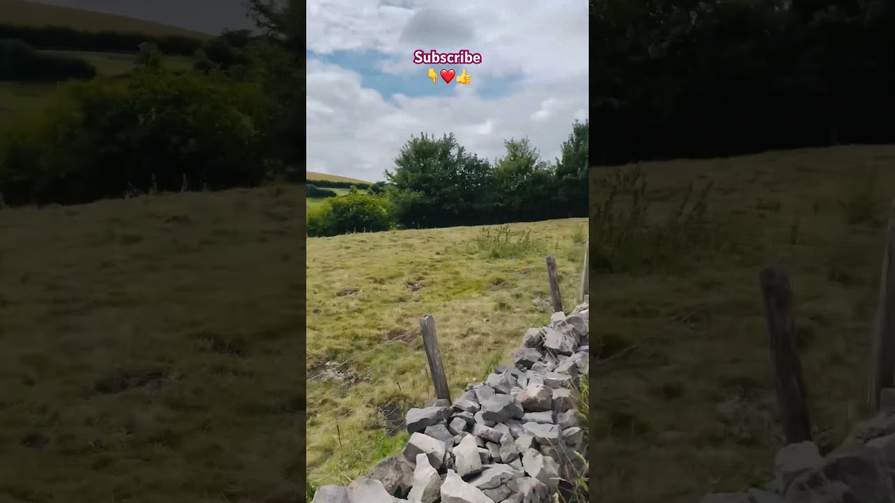 Nature beauty - animals - travel lovers - 