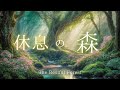 【集中BGM】幻想的な森に癒される音楽 - 60分間のファンタジーBGM - 休息の森