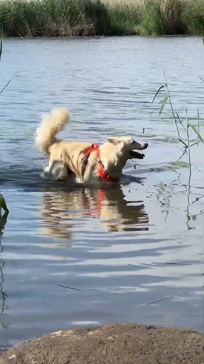 Одним майским днем 😎 - YouTube