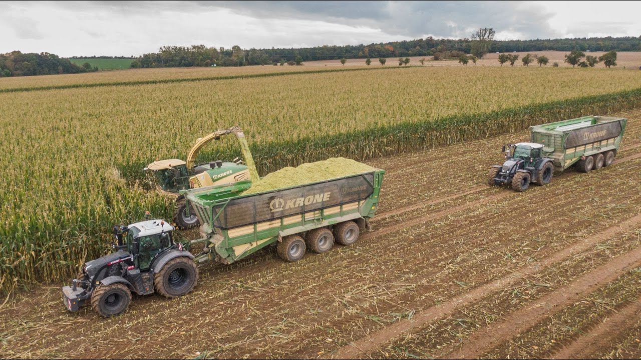 SILAGE 2021 | World's most powerful forage harvester with a 14 row header 😈 | Black Fendt's | Claas