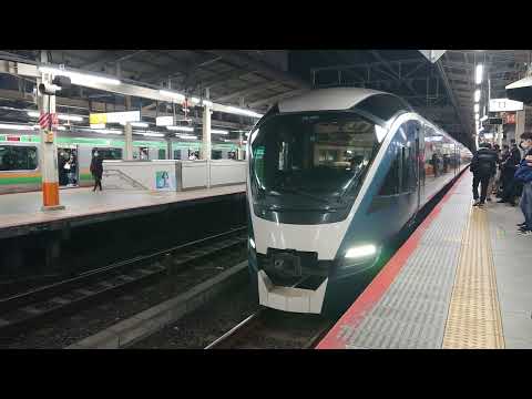 E261系(RS2編成) 特急サフィール踊り子4号東京行き 横浜駅発車