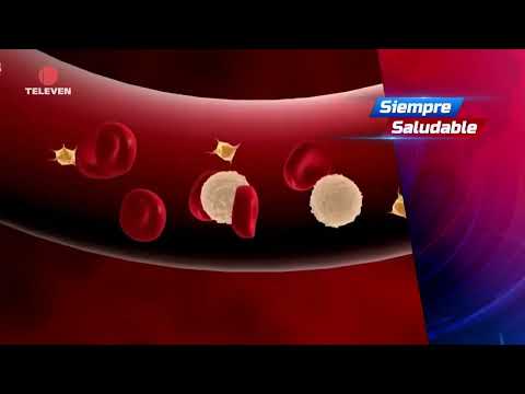Could the ear be a way to help control hypertension? – El Noticiero First Broadcast