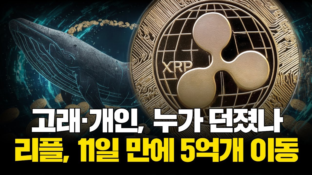 고래·개인, 누가 던졌나…리플, 11일 만에 5억개 이동