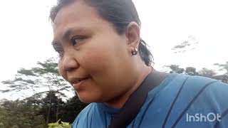 Download Lagu SAGING UG CAFE NGA MAIS AKONG PAMAHAW  MP3