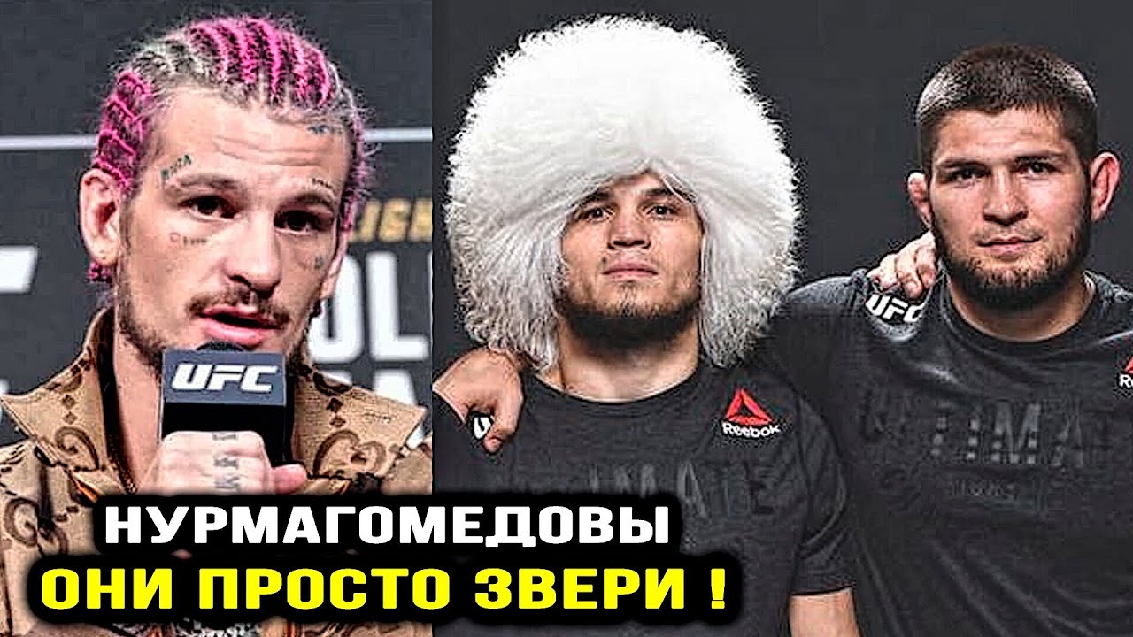 ОГО! Брат Хабиба УГРОЗА для UFC! Шон О'Мэлли ПРО Умара / Мераб ...