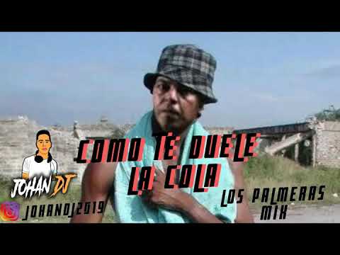 la-chola-+-te-duele-la-cola---los-palmeras-ft-hinchada-(-dj-adrian---johandj-edit-2019-)