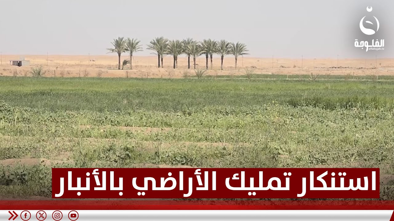 أنباريون يستنكرون قرار تمليك أكثر من 12 ألف طلب للأراضي الزراعية #قناة_الفلوجة