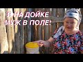 ВОТ ОНА-НАСТОЯЩАЯ ЖИЗНЬ В ДЕРЕВНЕ! ДОЙКА! ПОКОС!