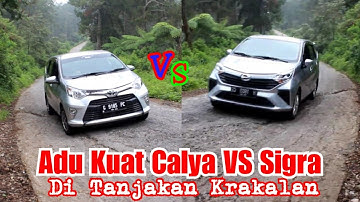 CALYA VS SIGRA || tanjakan krakalan || crew krakalan || @krakalanofficial