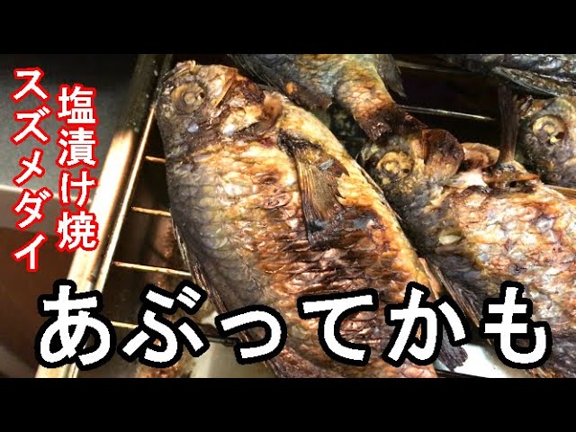 あぶってかも スズメダイ塩漬け 作り方 実はめちゃくちゃ美味 福岡の郷土料理 Youtube