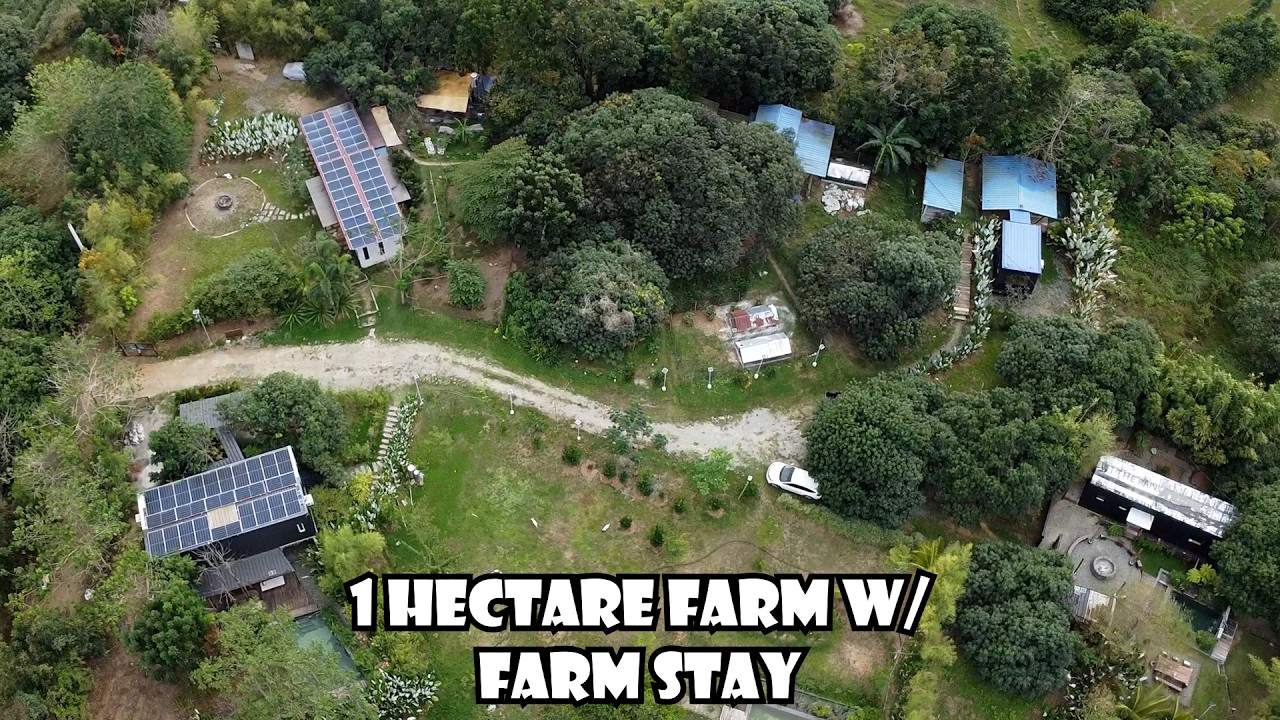 1 Hectare Farm with Farm Stay ng Isang Retired Teacher