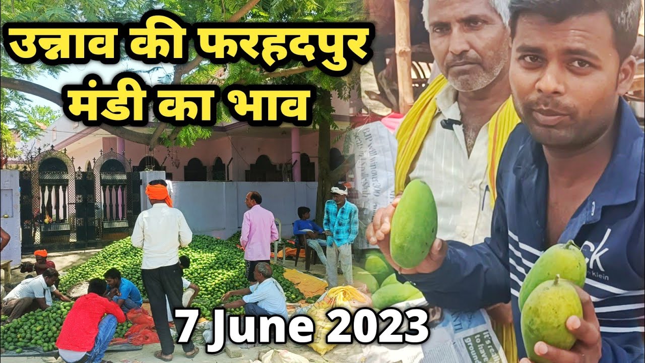 Unnao Ki फरहदपुर मंडी मे आम का भाव || Unnao Mango Update 2023 || My Smart Vlogger