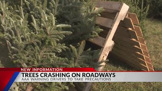 AAA warns drivers of Christmas trees on car roofs