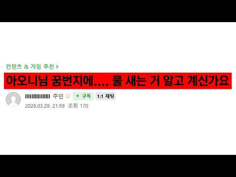 큰일입니다.. 동숲 꿈번지가 고장났습니다