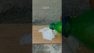 Sugar + Baking Soda Fire Reaction | Black Snake Science Experiment #viral #fypシ