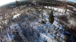 2020 MN Aerial Moose Survey (#21)